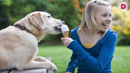 Попрошайка