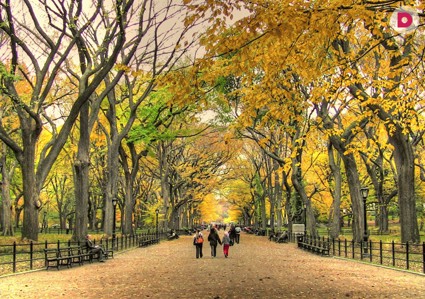 Пять лучших парков Москвы – гуляем до первого снега