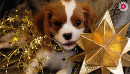 Первый раз в первый класс