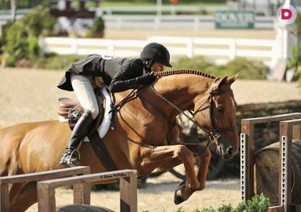 Стиль дерби от Анны Чигиринских