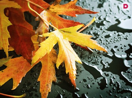 Осенняя депрессия: 6 способов справиться с хандрой