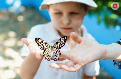 Особые дети: ребенок-бабочка