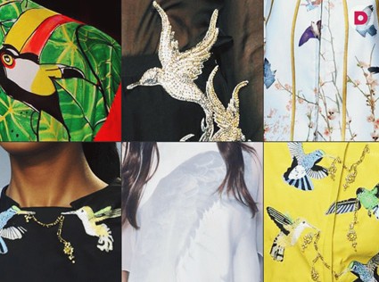 Модно: Птичий принт