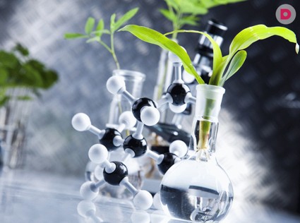 Стволовые клетки: правда, мифы и опасения