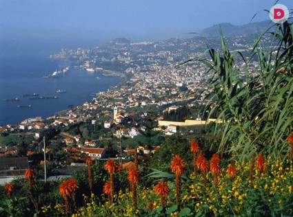 Мадейра — ближайшее к раю место на земле