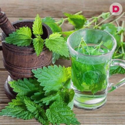 Крапивные маски для волос