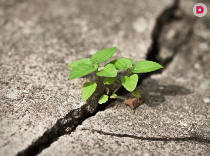 Тест. Способны ли вы противостоять невзгодам?