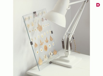 Декор для квартиры из засушенных листьев