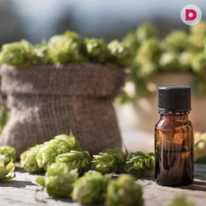 Увеличение груди маслом из хмеля