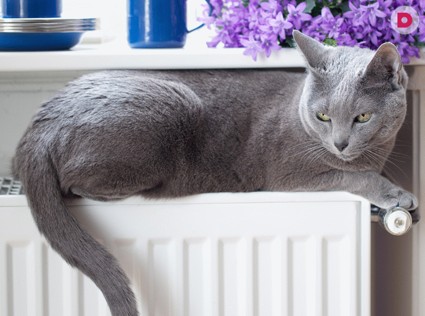 Декорирование труб и батарей