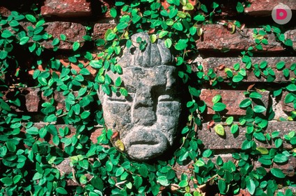 На садовом участке ничего не растет. Что делать? 