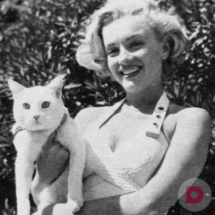 40 винтажных фотографий знаменитых людей и их котов