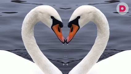 Тест. Символы любви. Часть 2