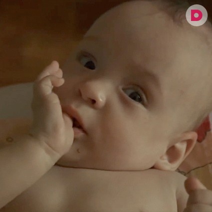 Васе нужна ваша помощь!