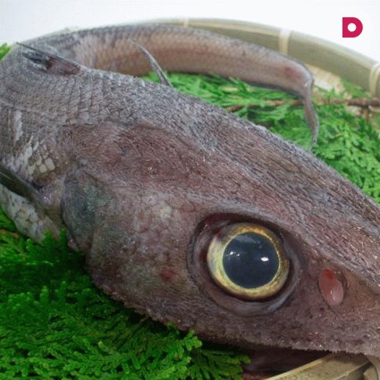 Рецепты блюд из рыбы макруруса