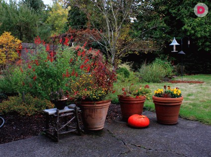 Садовые работы в октябре