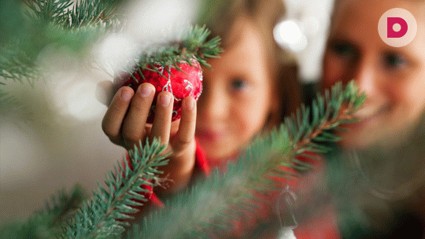 Какую елку выбрать?