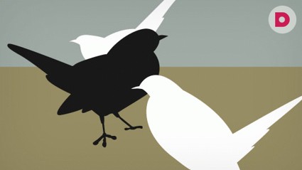 «Белая ворона»