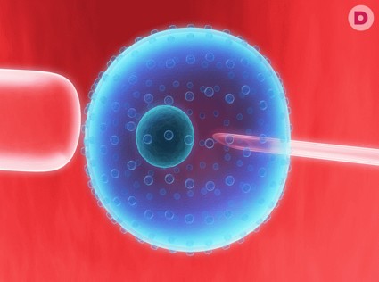 История развития ЭКО