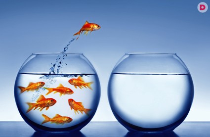 Финансовый гороcкоп: Рыбы