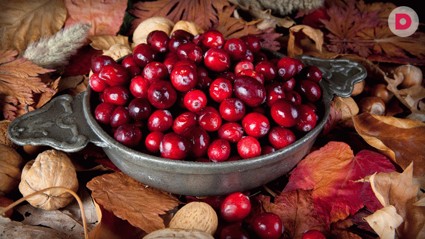 Что эффективнее от цистита: клюква или таблетки?