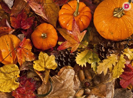 Праздник осени