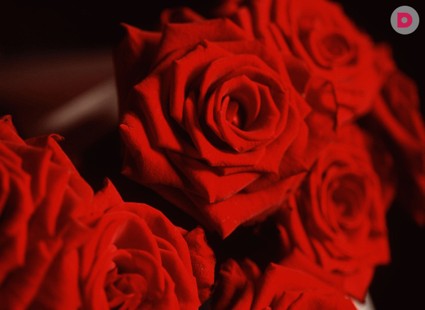 Как сделать оригинальный букет для любимой