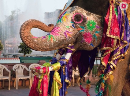 7 мест, куда не стоит ехать с детьми 