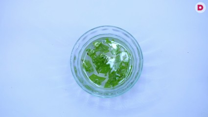 Алоэ: полезные свойства, рецепты масок