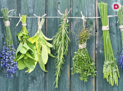 ТОП-10 народных рецептов от Ванги