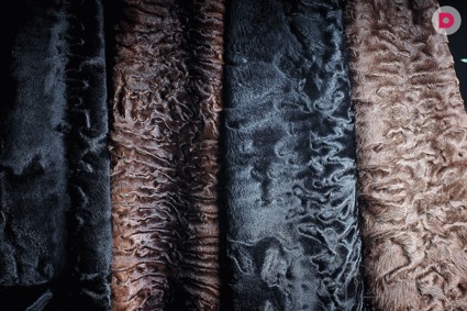 Каракульча: актуальная классика