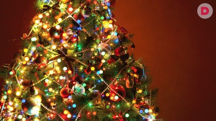 Видео-гид: Наряжаем елку