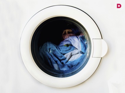 День 5. Большая стирка