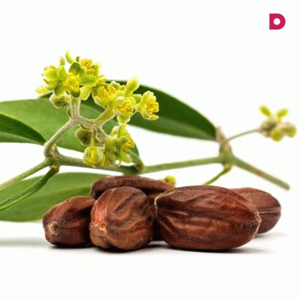 Полезные свойства масла жожоба