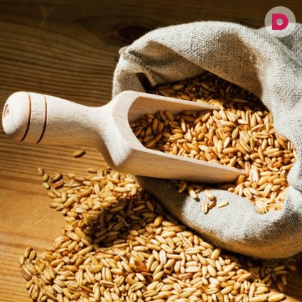 Рецепты народной медицины: настой из зерен овса