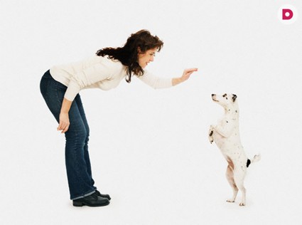 Время сказать: «Фу!»