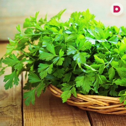 Полезные свойства петрушки
