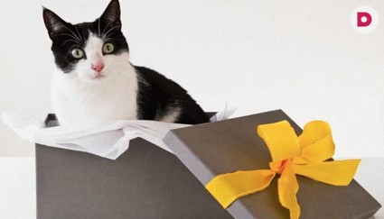 Подари друга