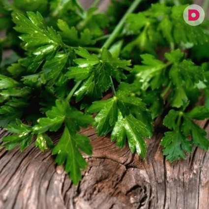 Как похудеть при помощи петрушки