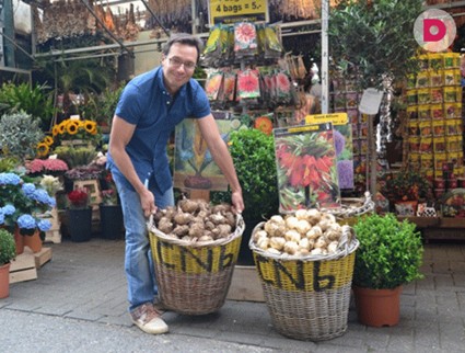 Сергей Новиков побывал в столице тюльпанов