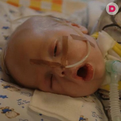 Петру нужна ваша помощь!