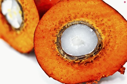 Полезные и вредные свойства пальмового масла