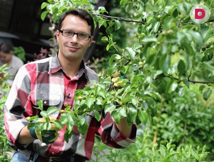 Новый сезон программы «Дачные истории»