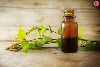 Полезные свойства березы