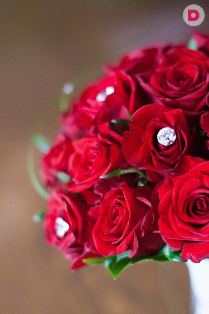 Свойства и тайны камней: циркон