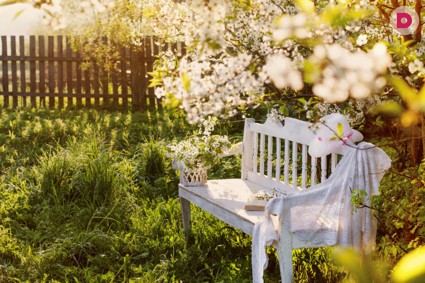 Идеальный сад: как правильно планировать?