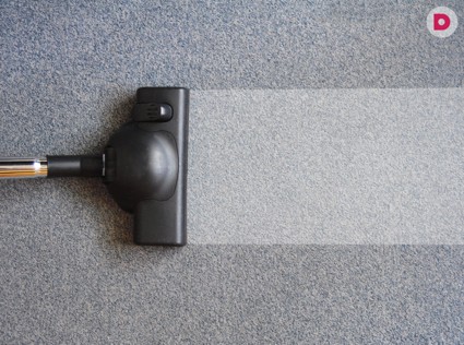 День 4. Праздник пылесоса