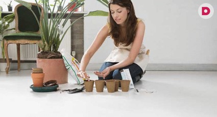 Пересадка комнатных растений