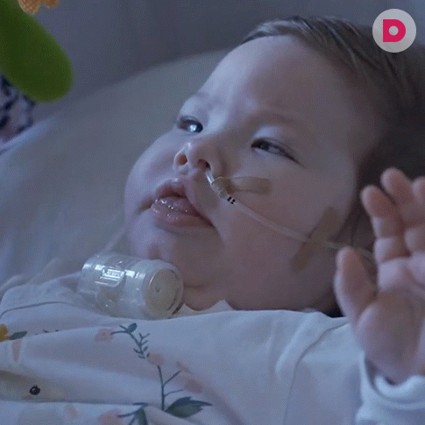 Амалии нужна ваша помощь!