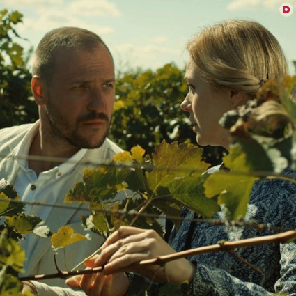 «Виноград»: запретный плод